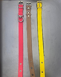 Köpek Tasma (50 cm)