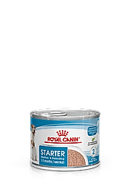 Royal Canin Starter Mousse Mother And Babydog Yaş Mama (195 gr)