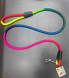 Renkli FTIL Köpek Gezdirme Kayışı