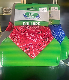 Record Bandana Tasma