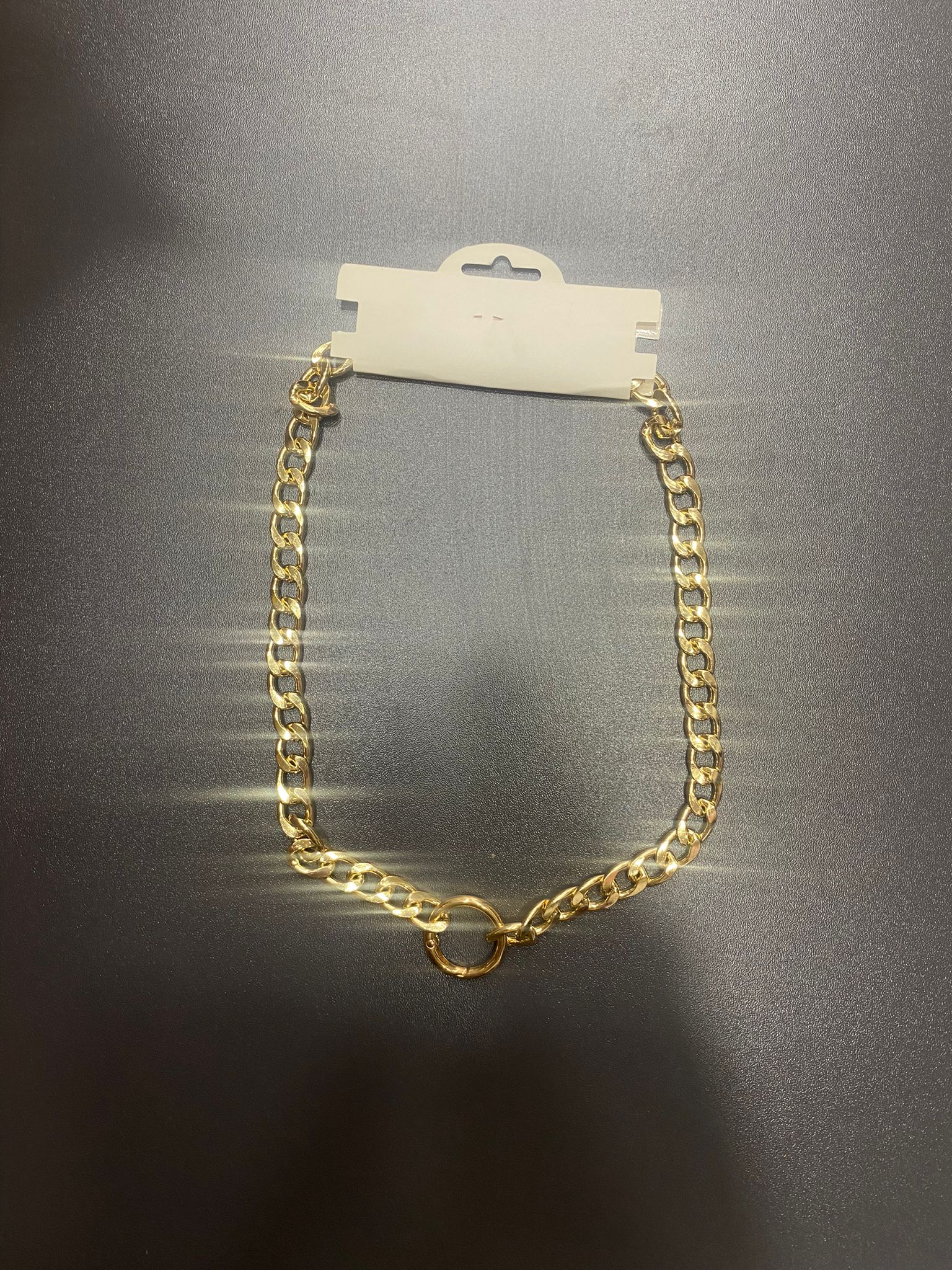 Willypet Büyük Köpek Kolyesi (55 cm)