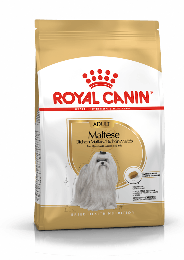Royal Canin Maltese Terrier Yetişkin Maması (1,5 kg)