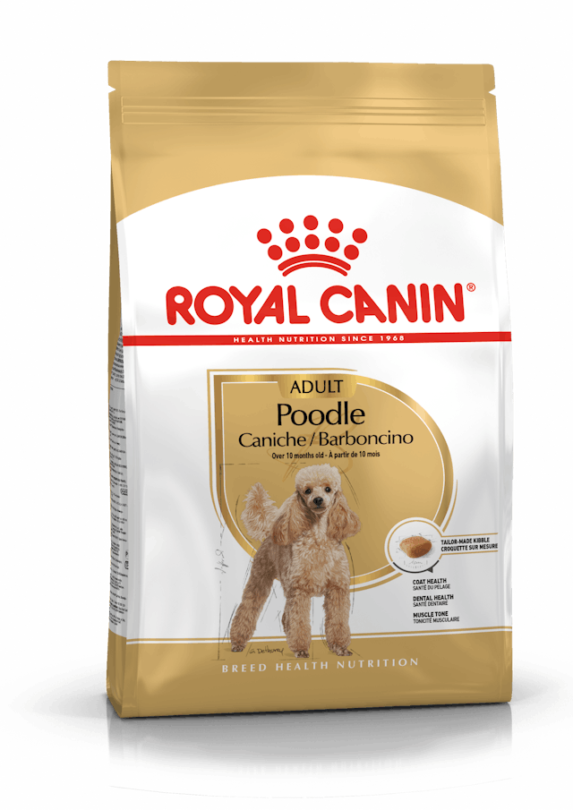 Royal Canin Poodle Yetişkin Maması (3 kg)